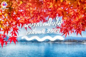 พยากรณ์ ใบไม้เปลี่ยนสีญี่ปุ่น 2023 - มาดูกันว่าเดือนไหน