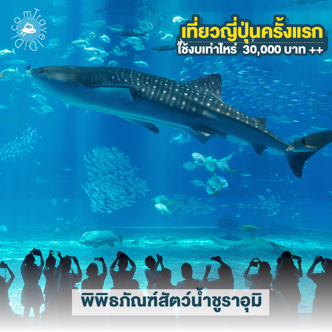 อัปเดตล่าสุด ปี 2023 เที่ยวญี่ปุ่นครั้งแรกควรใช้เงินเท่าไหร่ ?