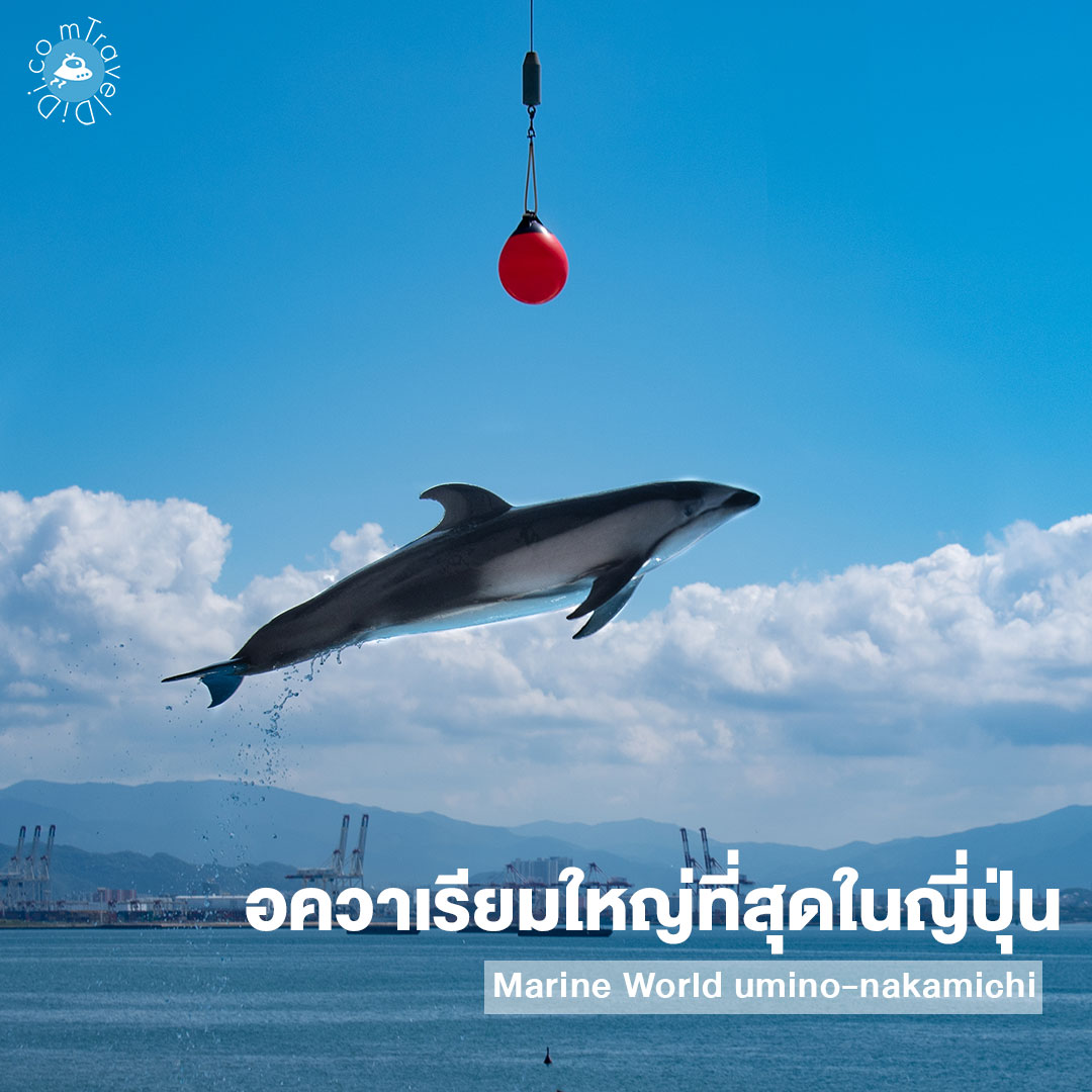 20 ที่เที่ยวฟุกุโอกะ พร้อมแจกพิกัด เที่ยวครบจบในทริปเดียว