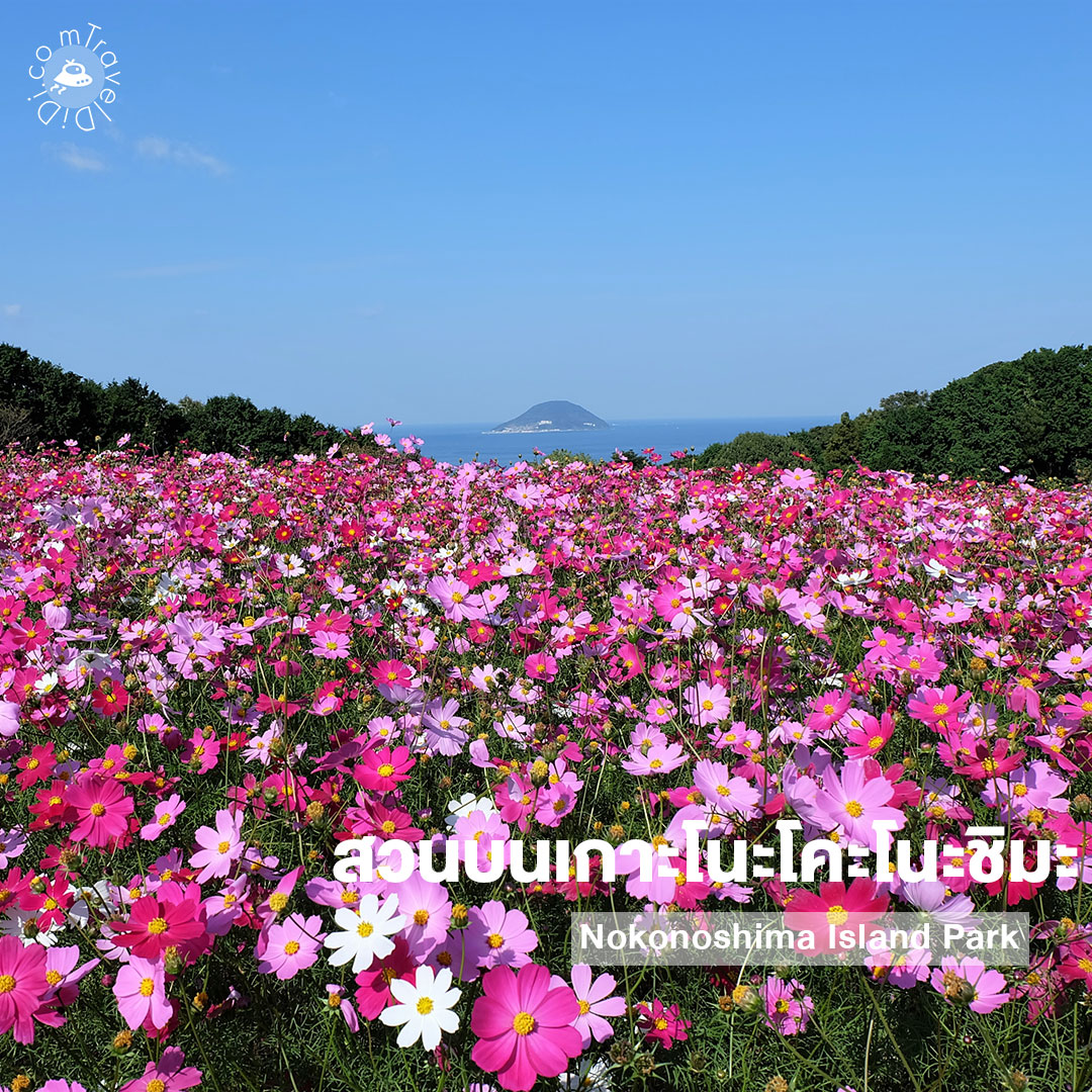 20 ที่เที่ยวฟุกุโอกะ พร้อมแจกพิกัด เที่ยวครบจบในทริปเดียว