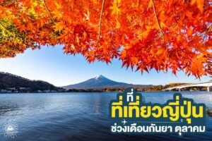 เที่ยวญี่ปุ่น ใบไม้เปลี่ยนสี เดือนกันยายน - เดือนตุลาคม ไปไหนดี