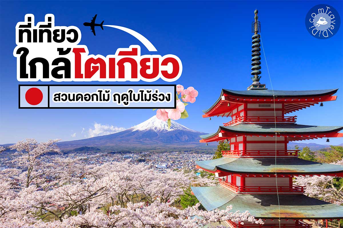 5 สวนดอกไม้ใกล้โตเกียว ชมสีสันดอกไม้ ฤดูใบไม้ร่วง!