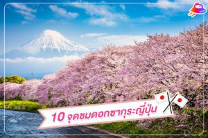 10 จุดชมดอกซากุระ ญี่ปุ่น สวย งดงาม หลากหลายภูมิภาค