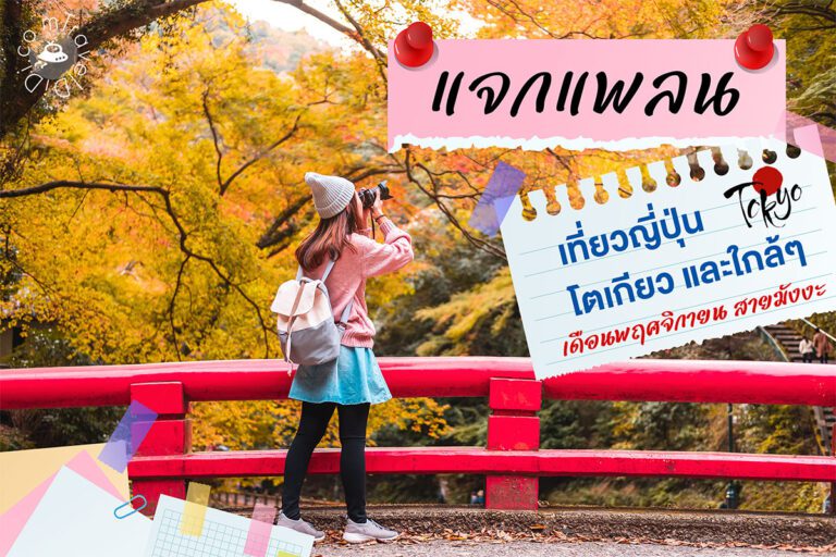แจกแพลนเที่ยวญี่ปุ่น 5 วัน แพลนเที่ยวโตเกียว เดือนพฤศจิกายน