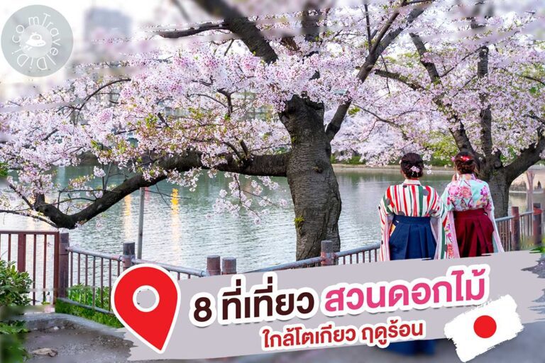 8 ที่เที่ยว “สวนดอกไม้ใกล้โตเกียว” ฤดูร้อน ประเทศญี่ปุ่น