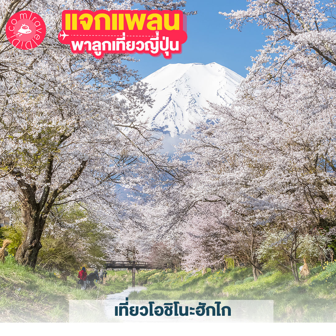 แจกแพลนเที่ยวญี่ปุ่น 4 แพลน! - พาลูกเที่ยวญี่ปุ่น ที่ไหนดี มาดูกันเลย