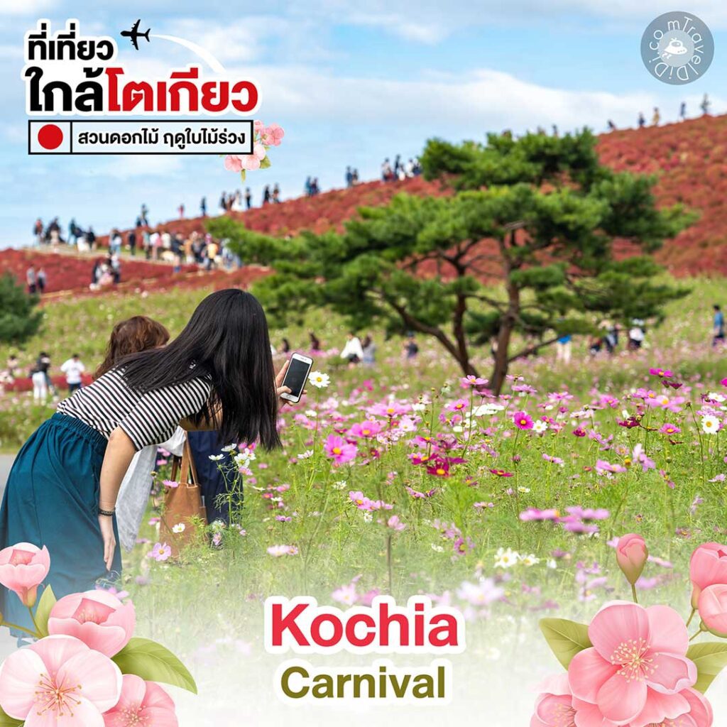 5 สวนดอกไม้ใกล้โตเกียว ชมสีสันดอกไม้ ฤดูใบไม้ร่วง!