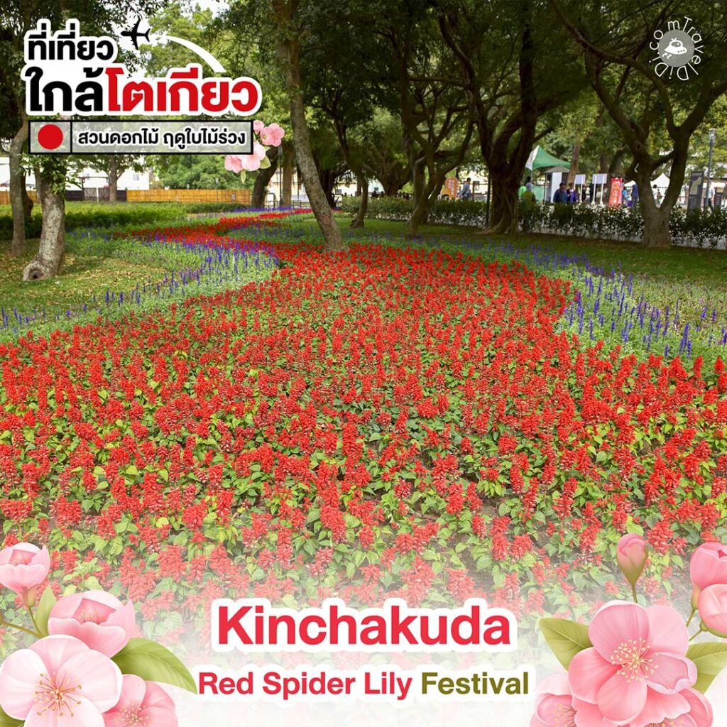5 สวนดอกไม้ใกล้โตเกียว ชมสีสันดอกไม้ ฤดูใบไม้ร่วง!