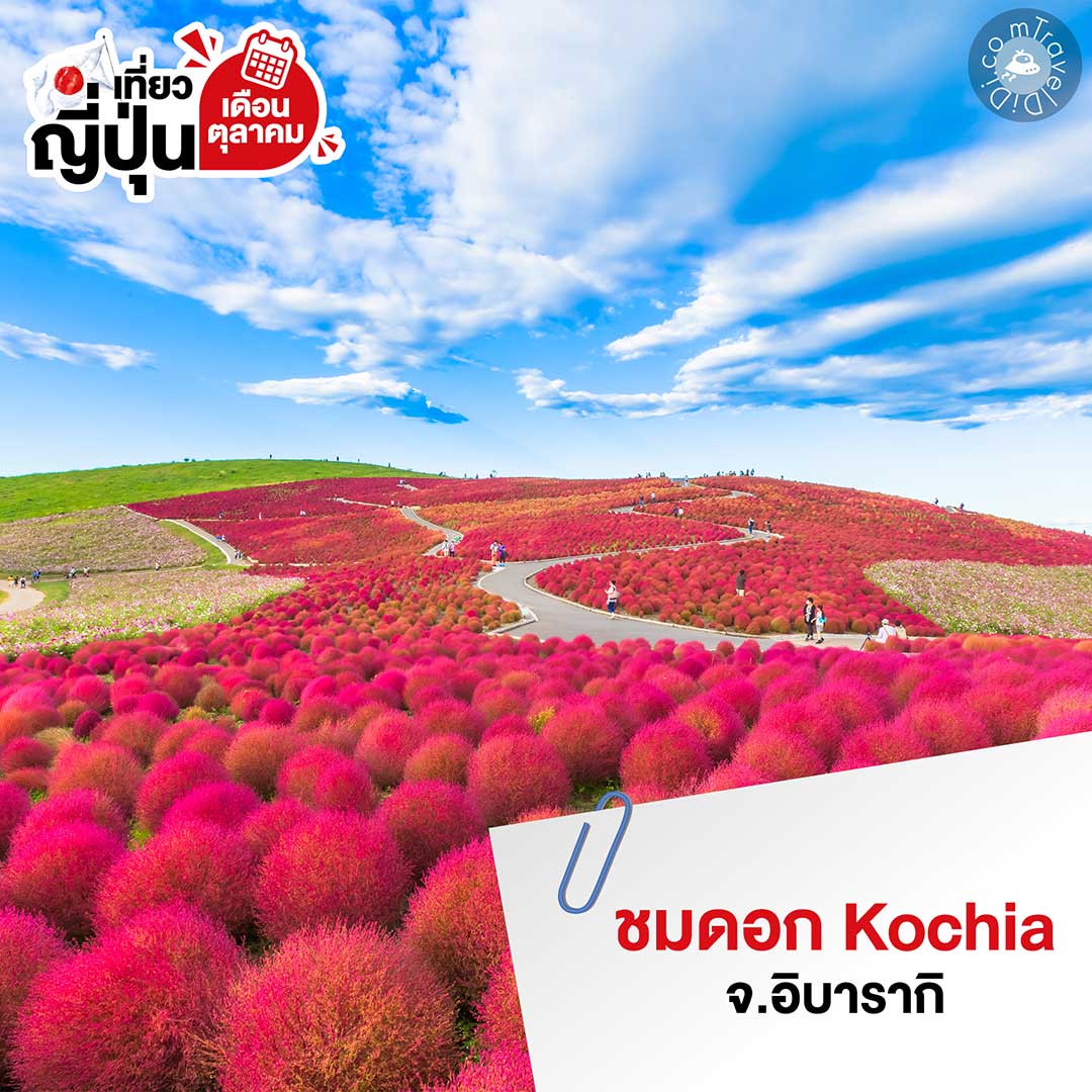 เที่ยวญี่ปุ่น เดือนตุลาคม - รวมไฮไลท์ ที่เที่ยว กิจกรรม สภาพอากาศ
