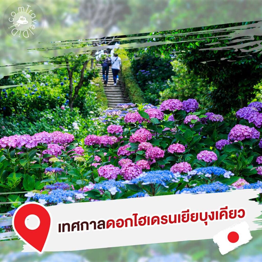 8 ที่เที่ยว “สวนดอกไม้ใกล้โตเกียว” ฤดูร้อน ประเทศญี่ปุ่น
