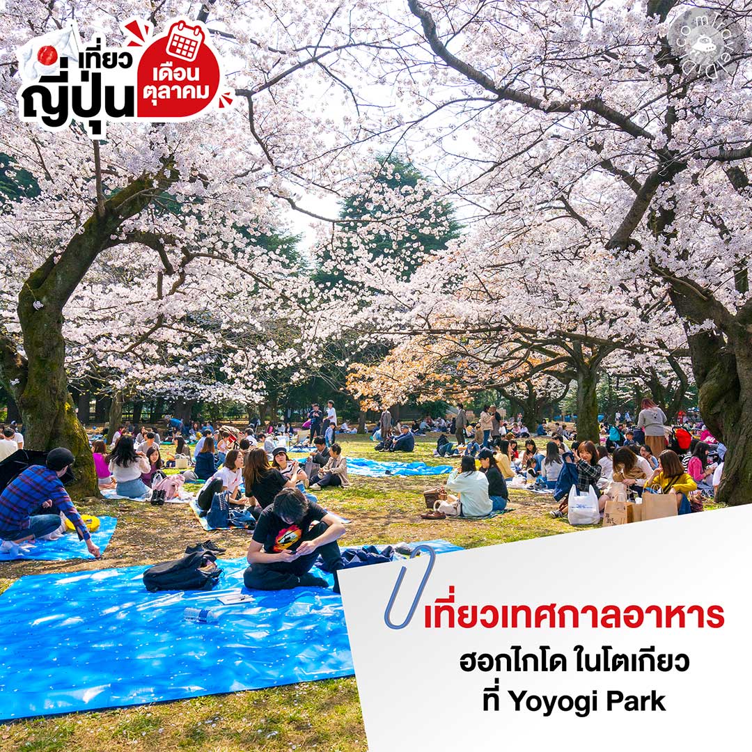 เที่ยวญี่ปุ่น เดือนตุลาคม - รวมไฮไลท์ ที่เที่ยว กิจกรรม สภาพอากาศ