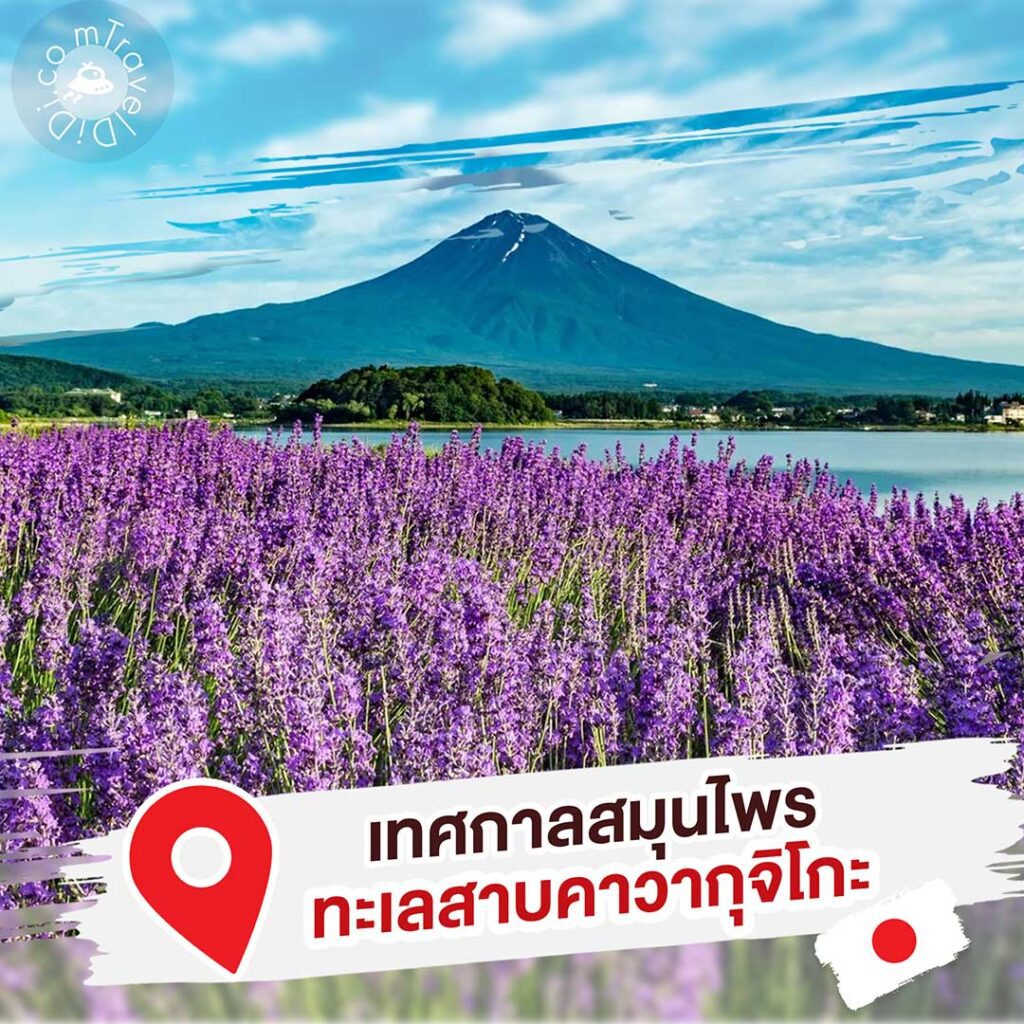 8 ที่เที่ยว “สวนดอกไม้ใกล้โตเกียว” ฤดูร้อน ประเทศญี่ปุ่น