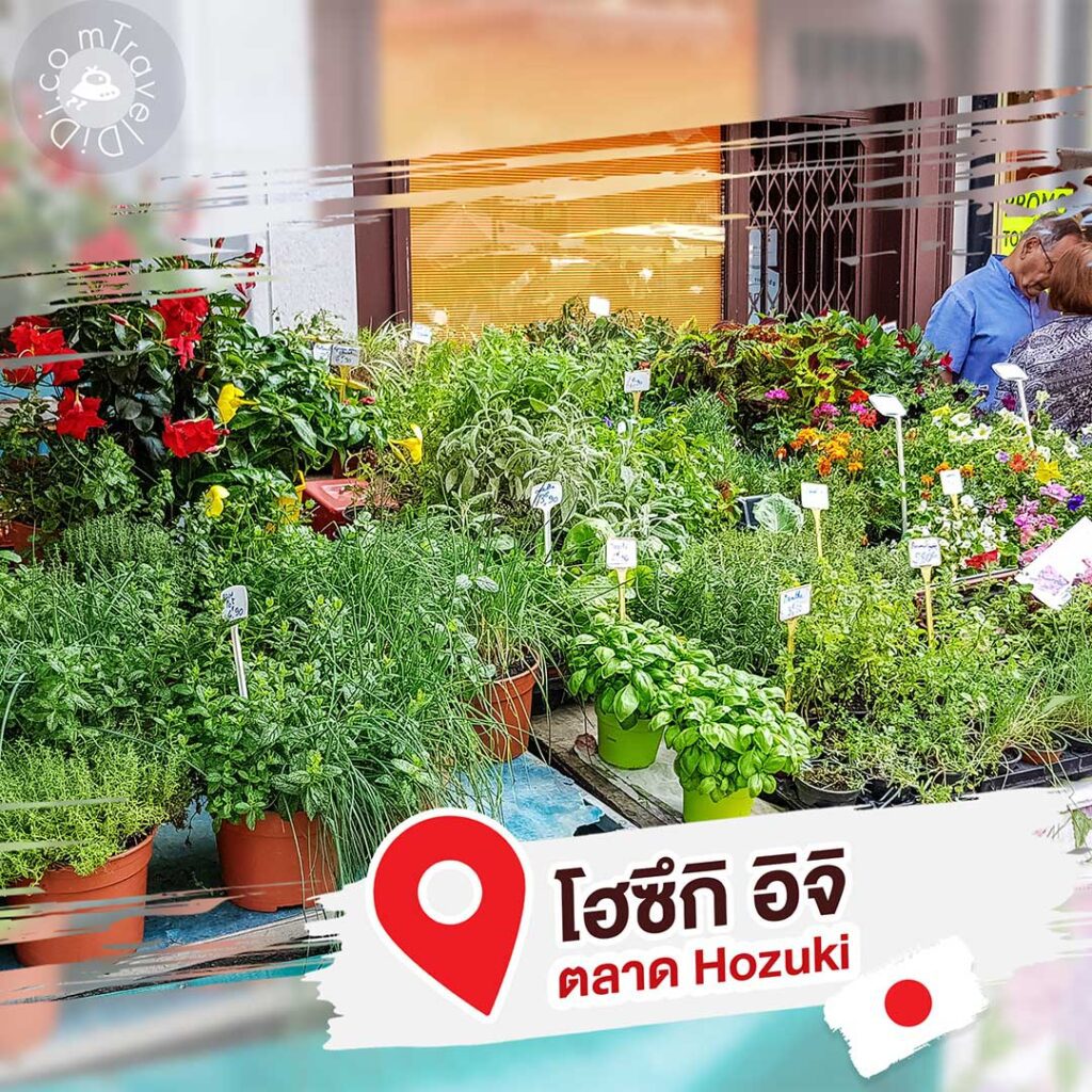 8 ที่เที่ยว “สวนดอกไม้ใกล้โตเกียว” ฤดูร้อน ประเทศญี่ปุ่น