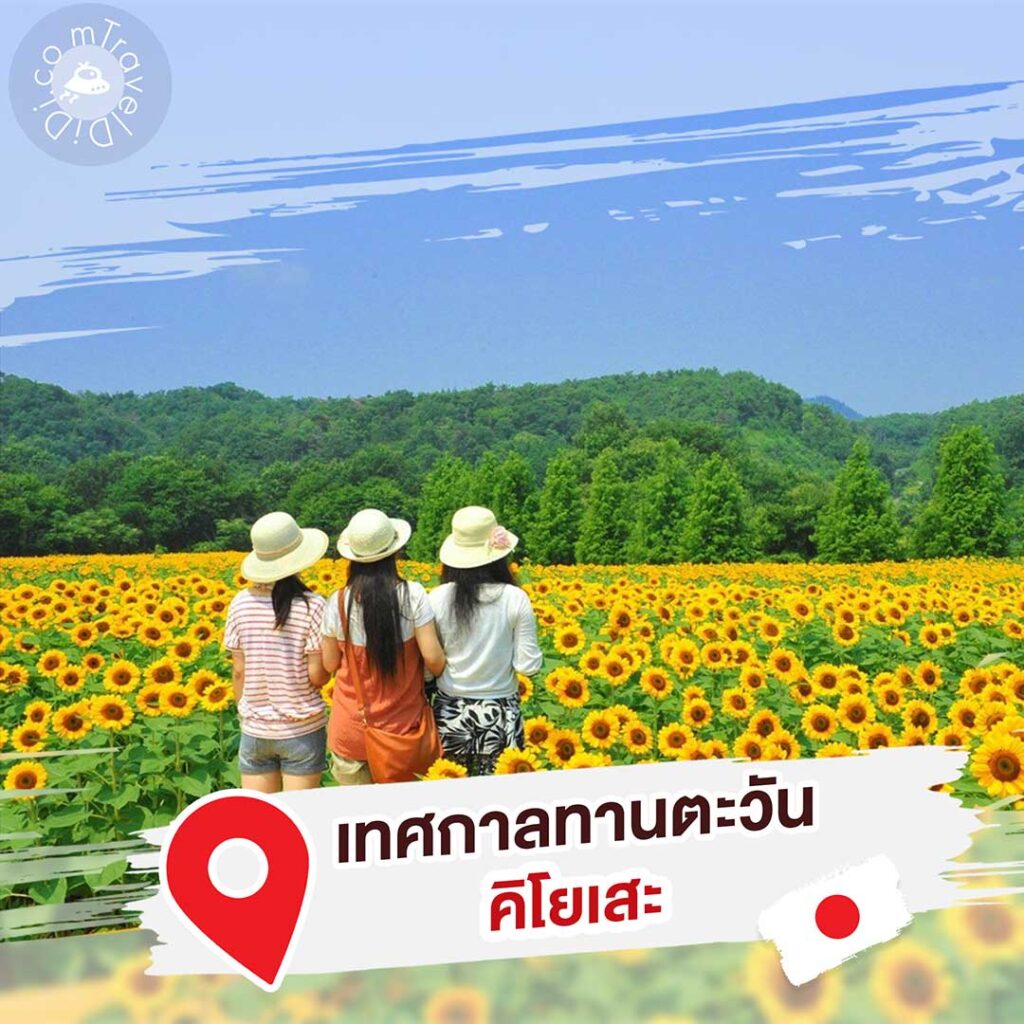 8 ที่เที่ยว “สวนดอกไม้ใกล้โตเกียว” ฤดูร้อน ประเทศญี่ปุ่น