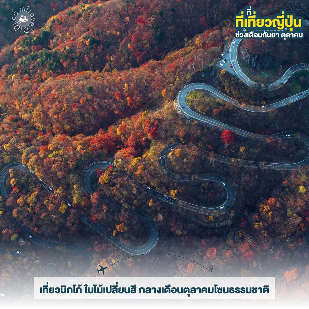 เที่ยวญี่ปุ่น ใบไม้เปลี่ยนสี เดือนกันยายน - เดือนตุลาคม ไปไหนดี