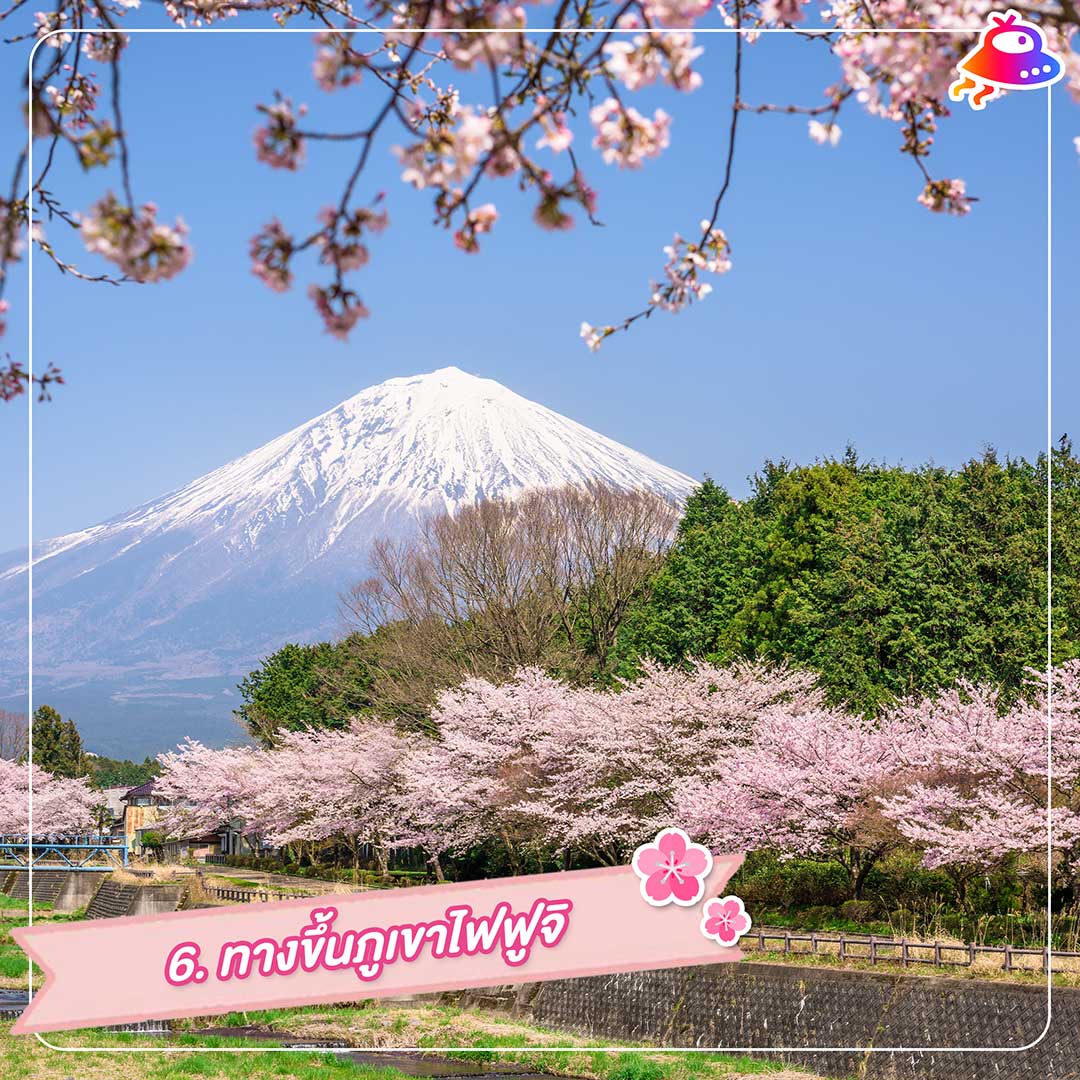 10 จุดชมดอกซากุระ ญี่ปุ่น สวย งดงาม หลากหลายภูมิภาค
