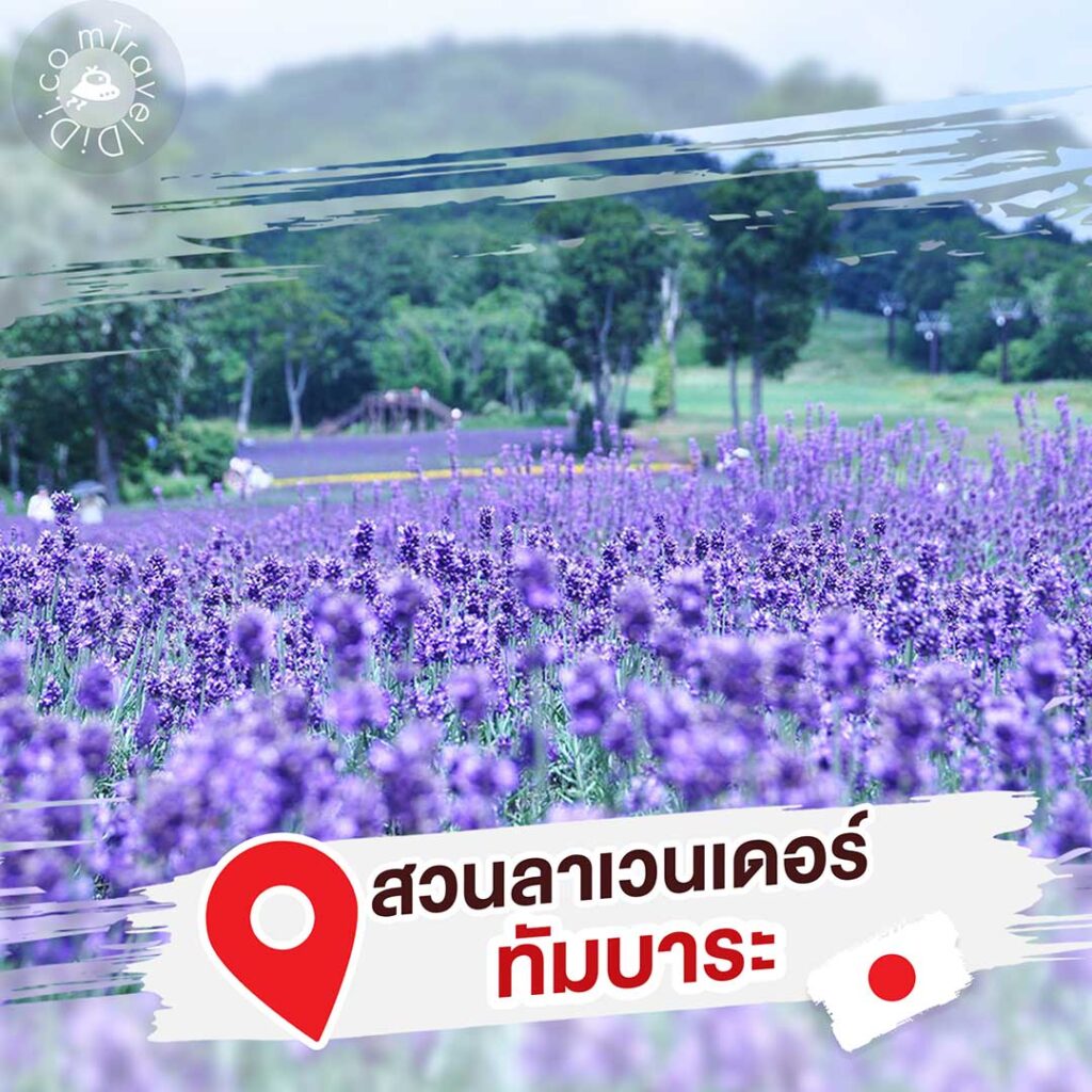 8 ที่เที่ยว “สวนดอกไม้ใกล้โตเกียว” ฤดูร้อน ประเทศญี่ปุ่น