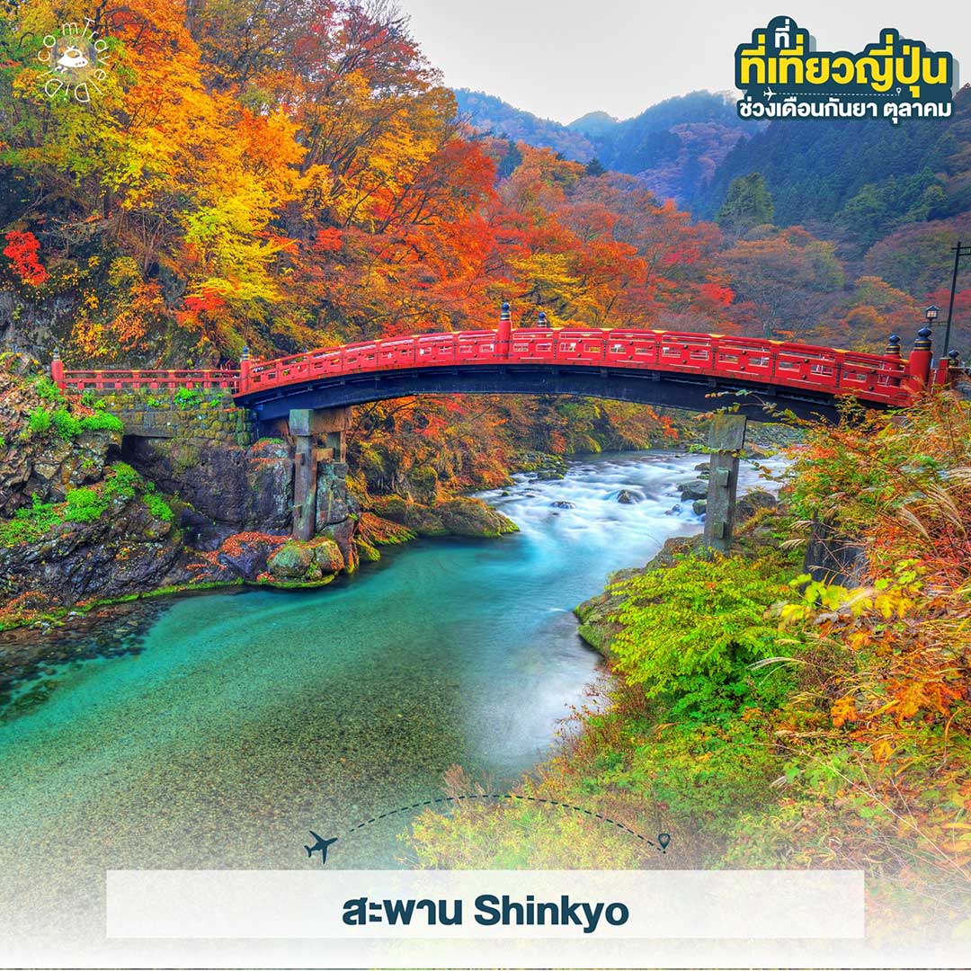 เที่ยวญี่ปุ่น ใบไม้เปลี่ยนสี เดือนกันยายน - เดือนตุลาคม ไปไหนดี