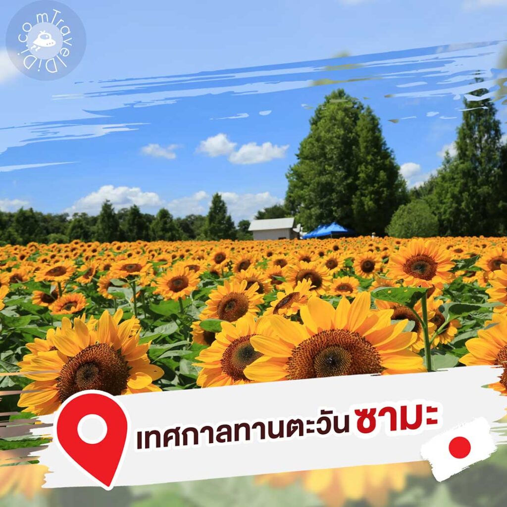 8 ที่เที่ยว “สวนดอกไม้ใกล้โตเกียว” ฤดูร้อน ประเทศญี่ปุ่น