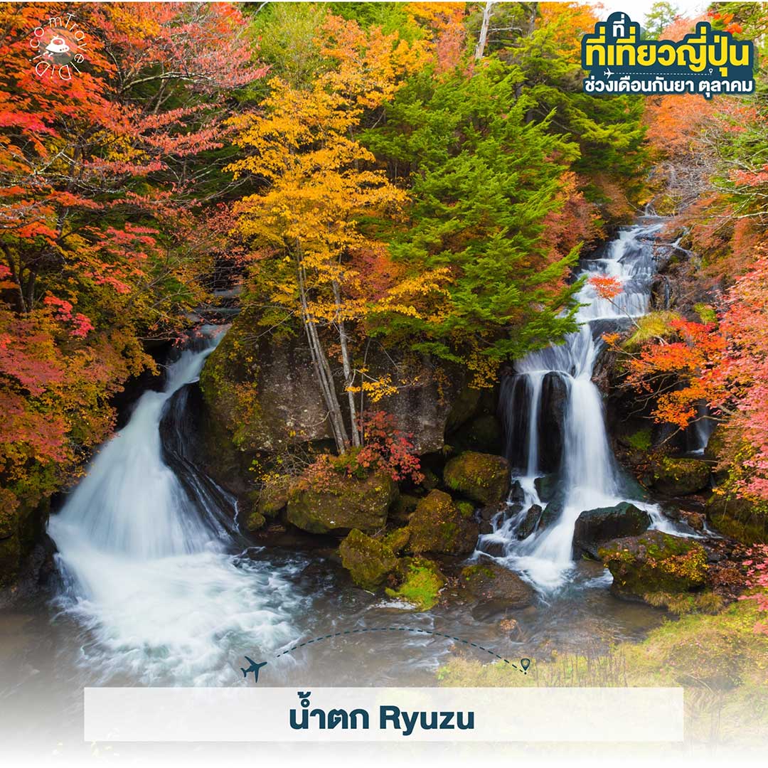 เที่ยวญี่ปุ่น ใบไม้เปลี่ยนสี เดือนกันยายน - เดือนตุลาคม ไปไหนดี