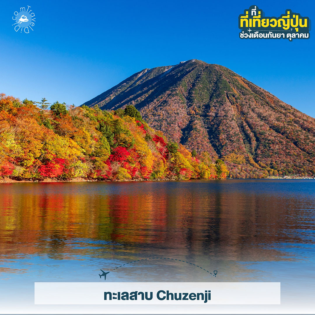 เที่ยวญี่ปุ่น ใบไม้เปลี่ยนสี เดือนกันยายน - เดือนตุลาคม ไปไหนดี