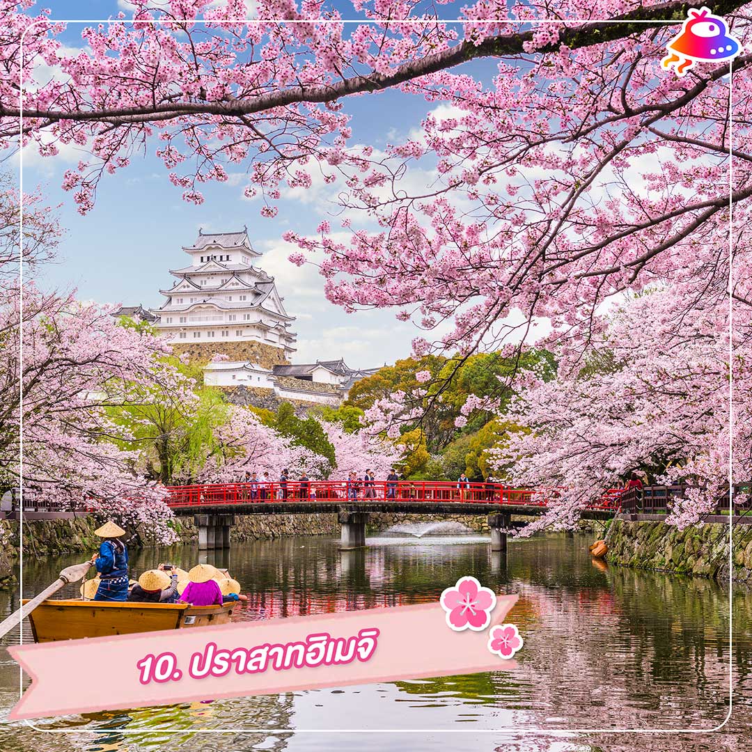 10 จุดชมดอกซากุระ ญี่ปุ่น สวย งดงาม หลากหลายภูมิภาค