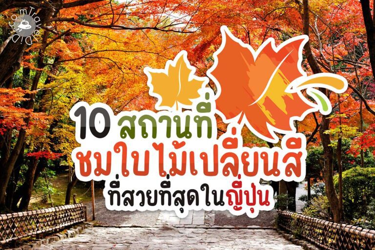 10 สถานที่เที่ยวชมใบไม้เปลี่ยนสี ญี่ปุ่น ที่สวยที่สุด ประจำปี 2025