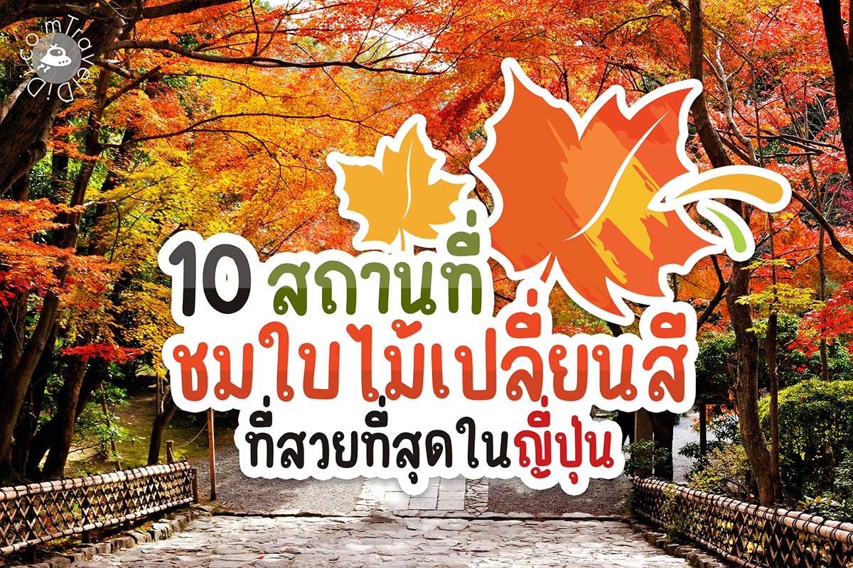 10 สถานที่ชมใบไม้เปลี่ยนสี ที่สวยที่สุดใน ญี่ปุ่น