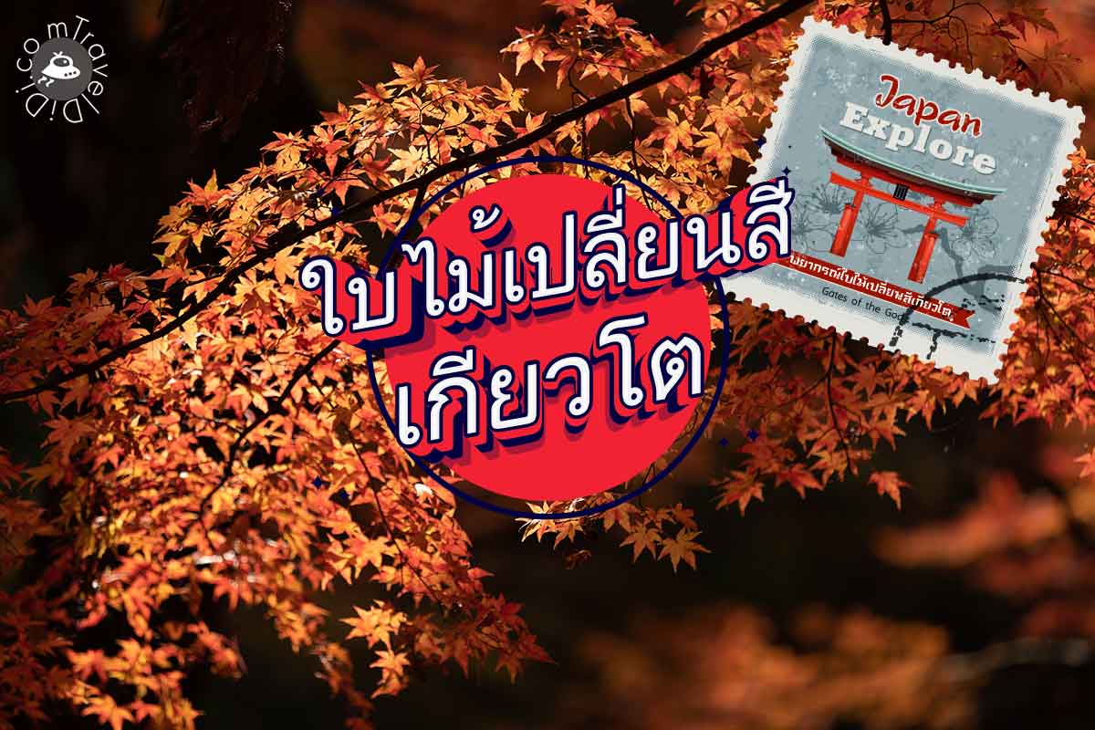 พยากรณ์ใบไม้เปลี่ยนสี เกียวโต 2023 – พร้อมจุดชมวิว วันที่ดีที่สุด