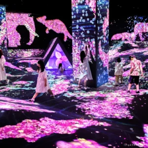 บัตรเข้าชม teamLab Forest Fukuoka ซื้อที่ Klook