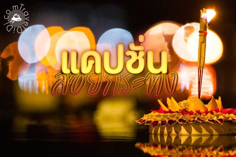 50 แคปชั่นลอยกระทง น่ารัก กวนๆ ฮาๆ ภาษาไทย & ภาษาอังกฤษ