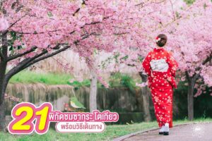 21 จุดชม 'ซากุระ โตเกียว' ปี 2024 / 2567 พร้อมวิธีเดินทาง