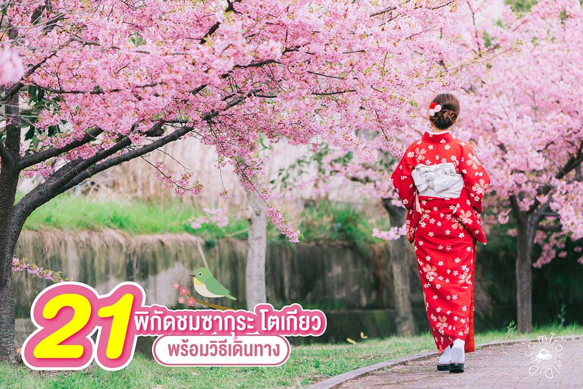 21 จุดชมซากุระ โตเกียว  ปี 2025 / 2568 พร้อมวิธีเดินทาง