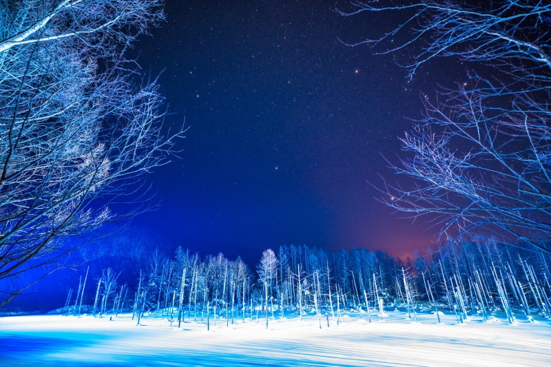 งานประดับไฟที่บ่อน้ำสีฟ้า Blue Pond เมืองบิเอะ และ น้ำตกหนวดขาว Shirohige - จังหวัดฮอกไกโด