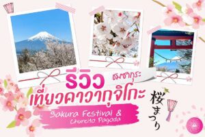 รีวิว เที่ยวคาวากุจิโกะ เทศกาลซากุระ & เจดีย์แดง Chureito