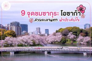 9 จุดชมซากุระ โอซาก้า สวยประทับใจ