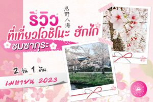 รีวิว เที่ยวโอชิโนะฮักไก (Oshino Hakkai) ชมซากุระ เมษายน 2023