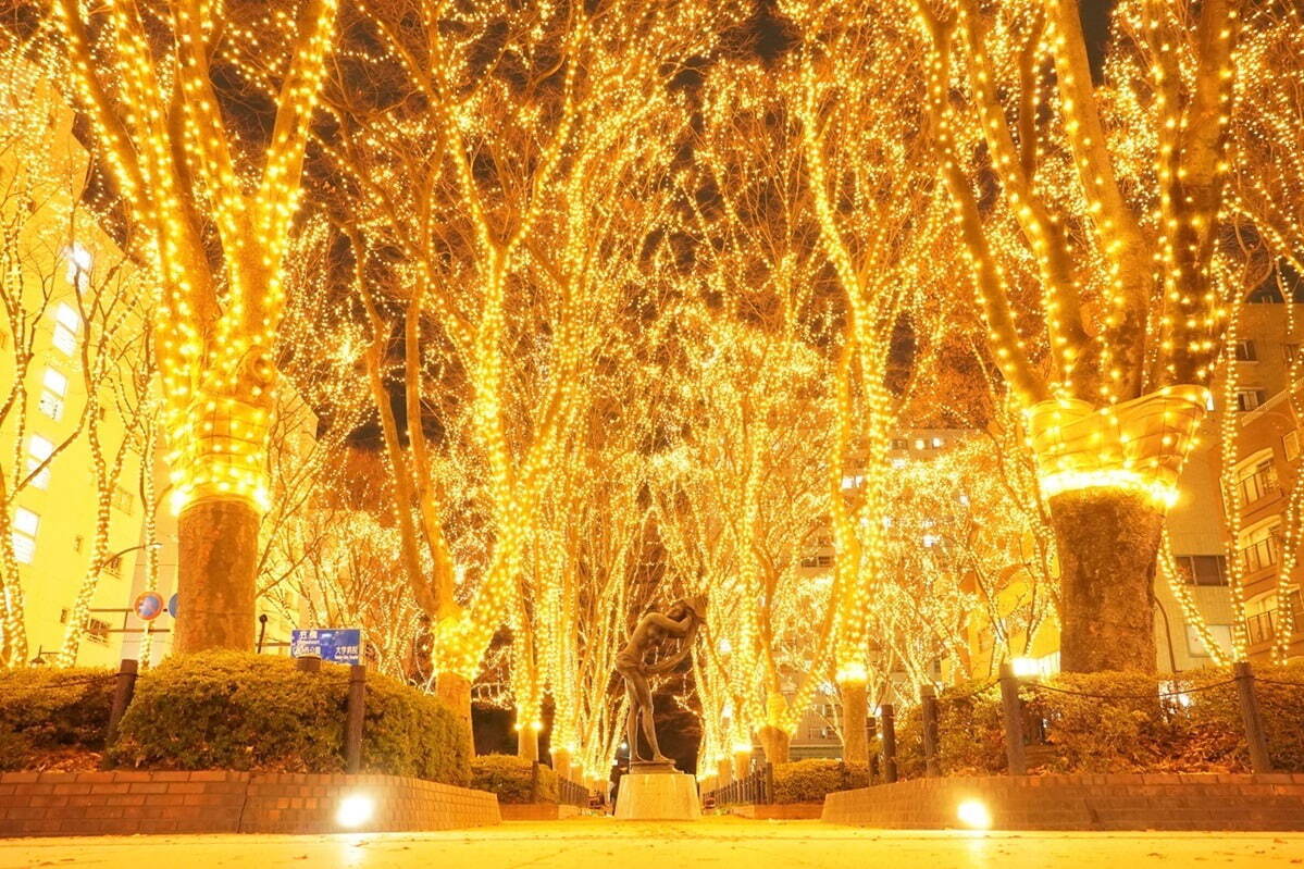 งานประดับไฟ “2023 SENDAI Pageant of Lights” บนถนน Jozenji - มิยากิ เซนได ประเทศญี่ปุ่น