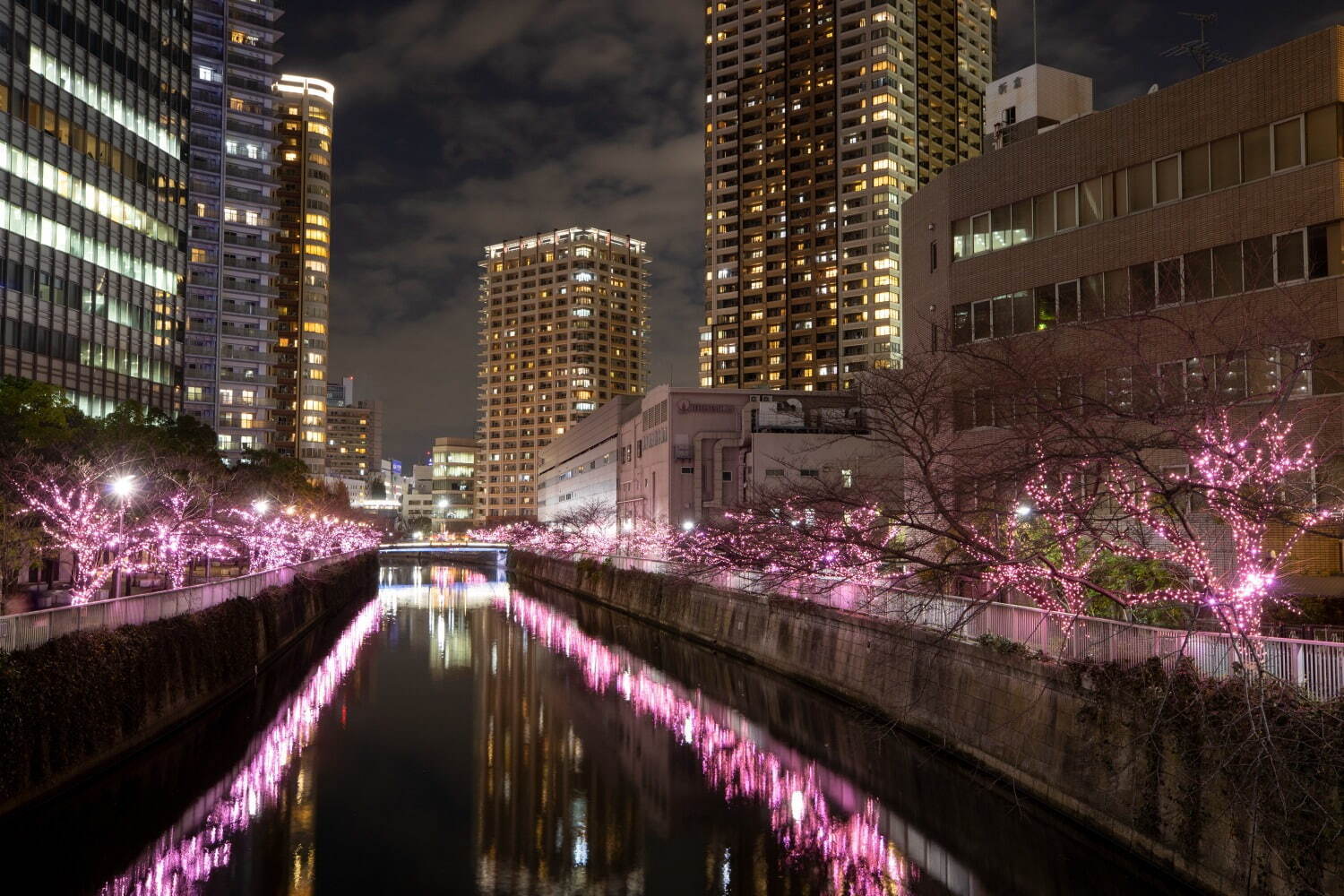 งานประดับไฟที่แม่น้ำเมกุโระ "Meguro River Everyone's Illumination 2023" และ "Winter Cherry Blossoms" - แม่น้ำเมกุโระ จังหวัดโตเกียวงานประดับไฟที่แม่น้ำเมกุโระ "Meguro River Everyone's Illumination 2023" และ "Winter Cherry Blossoms" - แม่น้ำเมกุโระ จังหวัดโตเกียว