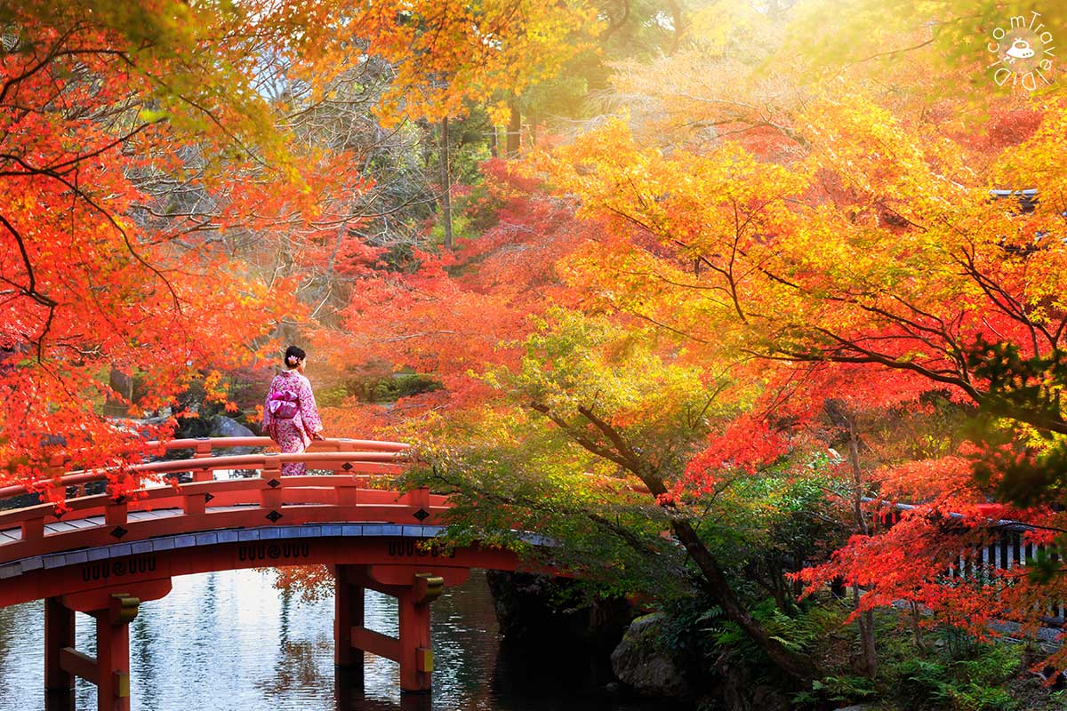 คู่มือ “เที่ยวญี่ปุ่น ใบไม้เปลี่ยนสี” – เผยโฉมความงามอันน่าหลงใหล