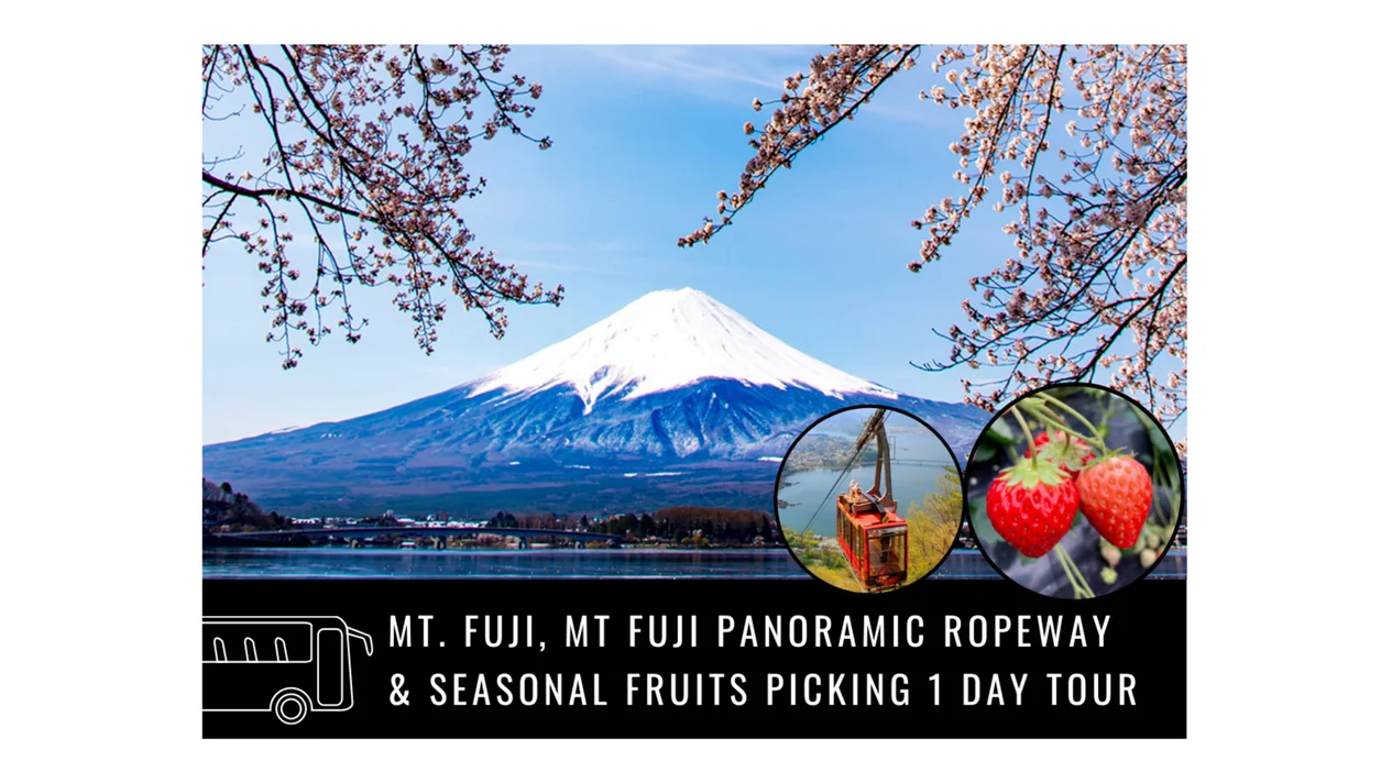 ทัวร์สวนโออิชิและภูเขาไฟฟูจิหนึ่งวัน พร้อมกิจกรรมเก็บผลไม้ (เดินทางจากโตเกียว)