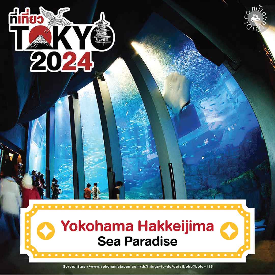 23 ที่เที่ยวโตเกียว 2025 | ที่เที่ยวเปิดใหม่ จุดเช็กอินโตเกียว