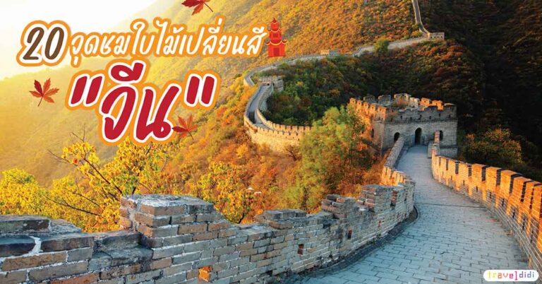 พยากรณ์ใบไม้เปลี่ยนสี จีน 2025/2568 & 20 จุดชมใบไม้เปลี่ยนสี 'จีน'