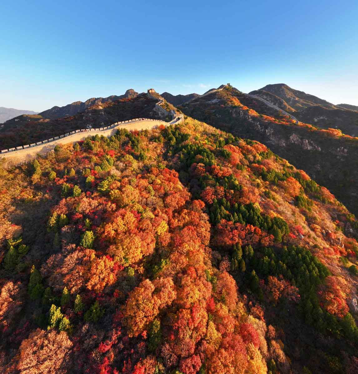 เที่ยวปักกิ่งชมใบไม้เปลี่ยนสีที่ Badaling National Forest Park ใกล้กำแพงเมืองจีนปาต้าหลิง