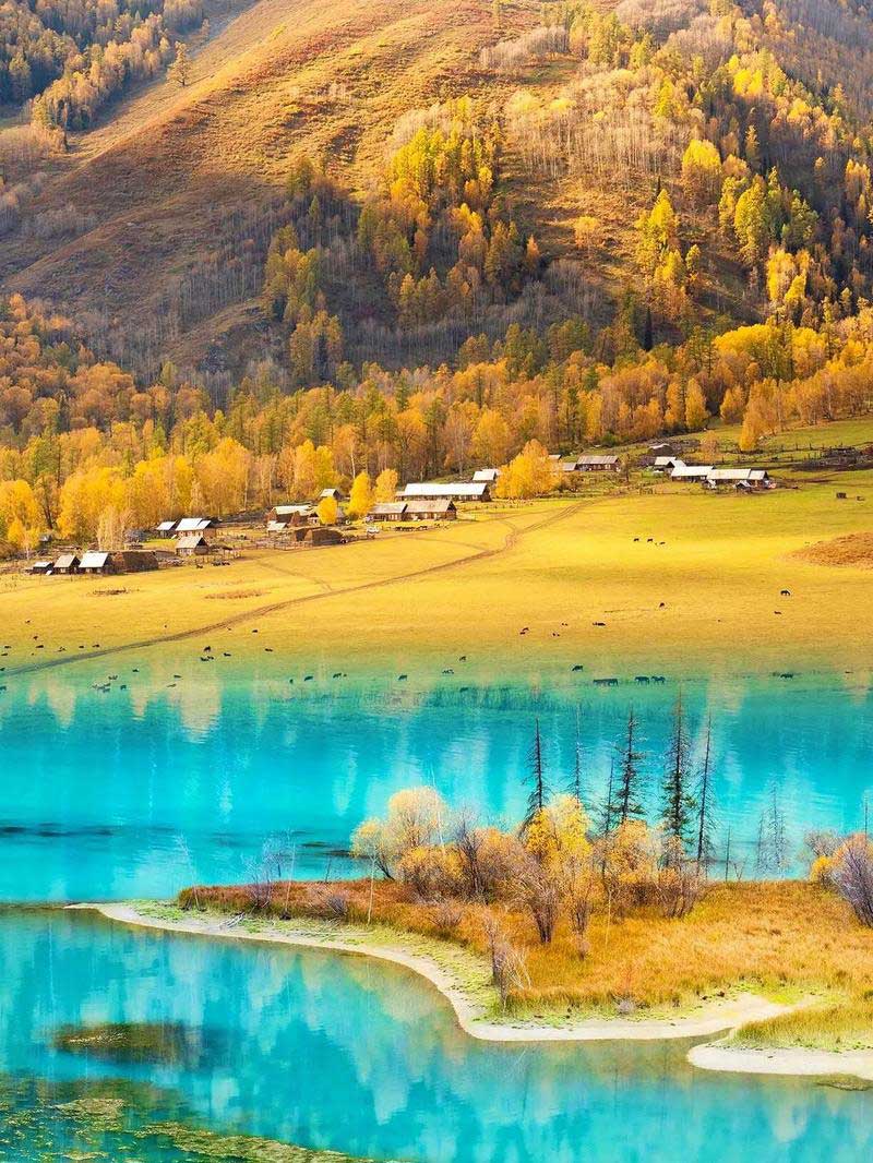 เที่ยวซินเจียงช่วงใบไม้เปลี่ยนสี ทะเลสาบคานาส (Kanas Lake) - ซินเจียง